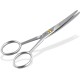 Pet Scissors Paw Scissors Rounded 12 cm Hair Scissors with Curved Cutting Surface for Optimal Grooming for Dogs, Cats and Other Pets - Stainless Steel Silver Pet Scissors Paw Scissors Rounded 12 cm Hair Scissors with Curved Cutting Surface for Optimal Grooming for Dogs, Cats and Other Pets - Stainless Steel Silver
