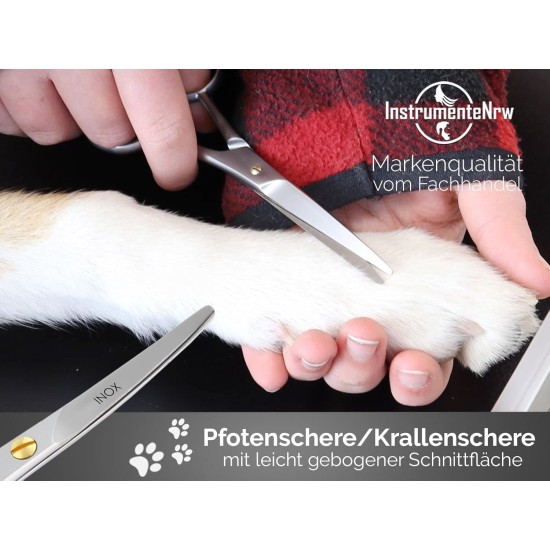 Pet Scissors Paw Scissors Rounded 12 cm Hair Scissors with Curved Cutting Surface for Optimal Grooming for Dogs, Cats and Other Pets - Stainless Steel Silver Pet Scissors Paw Scissors Rounded 12 cm Hair Scissors with Curved Cutting Surface for Optimal Grooming for Dogs, Cats and Other Pets - Stainless Steel Silver