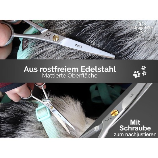 Pet Scissors Paw Scissors Rounded 12 cm Hair Scissors with Curved Cutting Surface for Optimal Grooming for Dogs, Cats and Other Pets - Stainless Steel Silver Pet Scissors Paw Scissors Rounded 12 cm Hair Scissors with Curved Cutting Surface for Optimal Grooming for Dogs, Cats and Other Pets - Stainless Steel Silver