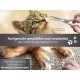 Pet Scissors Paw Scissors Rounded 12 cm Hair Scissors with Curved Cutting Surface for Optimal Grooming for Dogs, Cats and Other Pets - Stainless Steel Silver Pet Scissors Paw Scissors Rounded 12 cm Hair Scissors with Curved Cutting Surface for Optimal Grooming for Dogs, Cats and Other Pets - Stainless Steel Silver