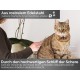 Pet Scissors Paw Scissors Rounded 12 cm Hair Scissors with Curved Cutting Surface for Optimal Grooming for Dogs, Cats and Other Pets - Stainless Steel Silver Pet Scissors Paw Scissors Rounded 12 cm Hair Scissors with Curved Cutting Surface for Optimal Grooming for Dogs, Cats and Other Pets - Stainless Steel Silver