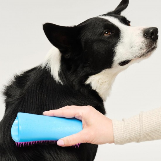 Pet Teezer, Purple Grey Dog Grooming Brush Pet Teezer, Purple Grey Dog Grooming Brush