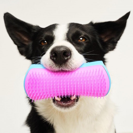 Pet Teezer, Purple Grey Dog Grooming Brush Pet Teezer, Purple Grey Dog Grooming Brush