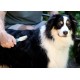 Pets First Professional Pet Mat Remover - Dematting Tool for Cat and Dog Grooming - Removes Matted Fur, Tangles, Knots, Gentle Teeth, Soft Comfort Grip Pets First Professional Pet Mat Remover - Dematting Tool for Cat and Dog Grooming - Removes Matted Fur, Tangles, Knots, Gentle Teeth, Soft Comfort Grip