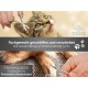 Pfotenschere Hunde Fellscheren Set Scharfe Schnittflächen 2 abgerundete Scheren 9 cm aus Edelstahl für eine perfekte Fellpflege