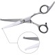Professional Dog Scissors Round Tip Stainless Steel Eye Trimmer for Dogs and Cats, Professional Grooming Tool, Size 6.7 x 2.6 x 0.43 inch Professional Dog Scissors Round Tip Stainless Steel Eye Trimmer for Dogs and Cats, Professional Grooming Tool, Size 6.7 x 2.6 x 0.43 inch