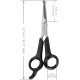 Professional Dog Scissors Round Tip Stainless Steel Eye Trimmer for Dogs and Cats, Professional Grooming Tool, Size 6.7 x 2.6 x 0.43 inch Professional Dog Scissors Round Tip Stainless Steel Eye Trimmer for Dogs and Cats, Professional Grooming Tool, Size 6.7 x 2.6 x 0.43 inch