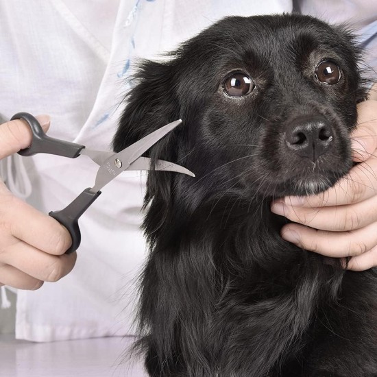 Professional Dog Scissors Round Tip Stainless Steel Eye Trimmer for Dogs and Cats, Professional Grooming Tool, Size 6.7 x 2.6 x 0.43 inch Professional Dog Scissors Round Tip Stainless Steel Eye Trimmer for Dogs and Cats, Professional Grooming Tool, Size 6.7 x 2.6 x 0.43 inch