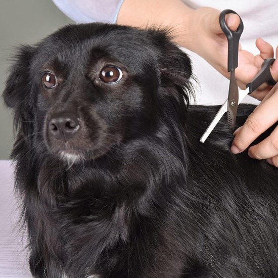 Professional Dog Scissors Round Tip Stainless Steel Eye Trimmer for Dogs and Cats, Professional Grooming Tool, Size 6.7 x 2.6 x 0.43 inch Professional Dog Scissors Round Tip Stainless Steel Eye Trimmer for Dogs and Cats, Professional Grooming Tool, Size 6.7 x 2.6 x 0.43 inch