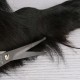 Professional Dog Scissors Round Tip Stainless Steel Eye Trimmer for Dogs and Cats, Professional Grooming Tool, Size 6.7 x 2.6 x 0.43 inch Professional Dog Scissors Round Tip Stainless Steel Eye Trimmer for Dogs and Cats, Professional Grooming Tool, Size 6.7 x 2.6 x 0.43 inch