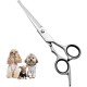 Professional Dog Scissors Round Tip Stainless Steel Eye Trimmer for Dogs and Cats, Professional Grooming Tool, Size 6.7 x 2.6 x 0.43 inch Professional Dog Scissors Round Tip Stainless Steel Eye Trimmer for Dogs and Cats, Professional Grooming Tool, Size 6.7 x 2.6 x 0.43 inch