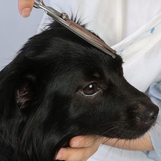 Professional Dog Scissors Round Tip Stainless Steel Eye Trimmer for Dogs and Cats, Professional Grooming Tool, Size 6.7 x 2.6 x 0.43 inch Professional Dog Scissors Round Tip Stainless Steel Eye Trimmer for Dogs and Cats, Professional Grooming Tool, Size 6.7 x 2.6 x 0.43 inch