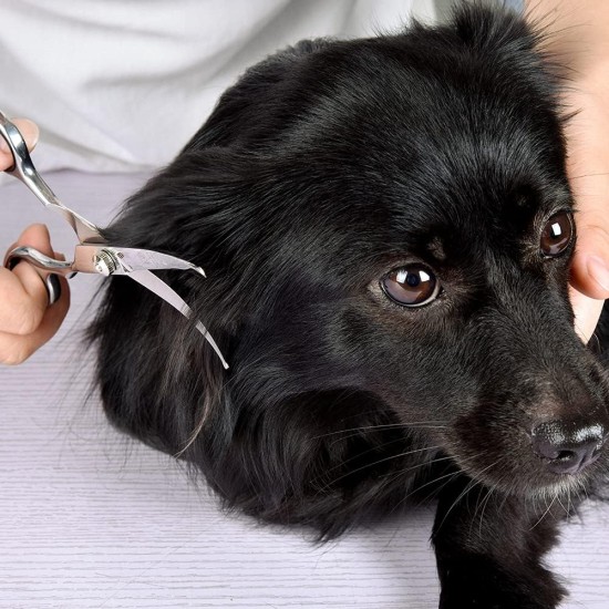 Professional Dog Scissors Round Tip Stainless Steel Eye Trimmer for Dogs and Cats, Professional Grooming Tool, Size 6.7 x 2.6 x 0.43 inch Professional Dog Scissors Round Tip Stainless Steel Eye Trimmer for Dogs and Cats, Professional Grooming Tool, Size 6.7 x 2.6 x 0.43 inch