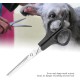 Professional Dog Scissors and Fur Scissors Set Pet Dog Cat Grooming Hair Cutting Scissors Thinning Teeth Set (Dog Scissors -2) Professional Dog Scissors and Fur Scissors Set Pet Dog Cat Grooming Hair Cutting Scissors Thinning Teeth Set (Dog Scissors -2)