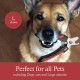 Professional Pet Nail Clipper Medium/Large Professional Pet Nail Clipper Medium/Large