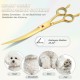 Purple Dragon 8 Inch Dog Scissors Set Professional 3-in-1 Fur Scissors Set for Dogs – Golden Dog Scissors Set Straight, Serrated and Curved Scissors are Included for Dogs for Cats and Other Animals Purple Dragon 8 Inch Dog Scissors Set Professional 3-in-1 Fur Scissors Set for Dogs – Golden Dog Scissors Set Straight, Serrated and Curved Scissors are Included for Dogs for Cats and Other Animals