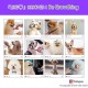 Purple Dragon Fur Scissors for Dogs Professional 7.0 Inch Dog Scissors Set with Thinning Scissors for Grooming Curved Pet Fur Scissors Set Dog Hair Scissors Set Made of Japan 440C Stainless Steel Purple Dragon Fur Scissors for Dogs Professional 7.0 Inch Dog Scissors Set with Thinning Scissors for Grooming Curved Pet Fur Scissors Set Dog Hair Scissors Set Made of Japan 440C Stainless Steel