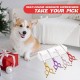 Purple Dragon JP 440C Steel Professional Dog Scissors for Dogs and Cats, 6.5 Inch Grooming Scissors with Ultralight Space Aluminium Handle, JP 440C Steel Professional Grooming Scissors for Dog Purple Dragon JP 440C Steel Professional Dog Scissors for Dogs and Cats, 6.5 Inch Grooming Scissors with Ultralight Space Aluminium Handle, JP 440C Steel Professional Grooming Scissors for Dog