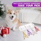 Purple Dragon JP 440C Steel Professional Dog Scissors for Dogs and Cats, 6.5 Inch Grooming Scissors with Ultralight Space Aluminium Handle, JP 440C Steel Professional Grooming Scissors for Dog Purple Dragon JP 440C Steel Professional Dog Scissors for Dogs and Cats, 6.5 Inch Grooming Scissors with Ultralight Space Aluminium Handle, JP 440C Steel Professional Grooming Scissors for Dog