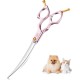 Purple Dragon JP 440C Steel Professional Dog Scissors for Dogs and Cats, 6.5 Inch Grooming Scissors with Ultralight Space Aluminium Handle, JP 440C Steel Professional Grooming Scissors for Dog Purple Dragon JP 440C Steel Professional Dog Scissors for Dogs and Cats, 6.5 Inch Grooming Scissors with Ultralight Space Aluminium Handle, JP 440C Steel Professional Grooming Scissors for Dog