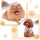 QJFHURB Modern Dog Scissors - Hair Scissors for Pets - Stainless Steel - Ambidextrous - Professional Cutting - Thinning Scissors - Dogs and Cats QJFHURB Modern Dog Scissors - Hair Scissors for Pets - Stainless Steel - Ambidextrous - Professional Cutting - Thinning Scissors - Dogs and Cats