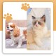 QJFHURB Modern Dog Scissors - Hair Scissors for Pets - Stainless Steel - Ambidextrous - Professional Cutting - Thinning Scissors - Dogs and Cats QJFHURB Modern Dog Scissors - Hair Scissors for Pets - Stainless Steel - Ambidextrous - Professional Cutting - Thinning Scissors - Dogs and Cats