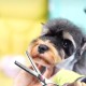 ROROJOYMA Pet Scissors, 6 Inch Professional Dog Scissors, Stainless Steel Fur Scissors for Dogs and Cats, for Dogs, Cats, Pink ROROJOYMA Pet Scissors, 6 Inch Professional Dog Scissors, Stainless Steel Fur Scissors for Dogs and Cats, for Dogs, Cats, Pink