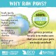 Raw Paws Pet Grooming Brush, 1 Carat Hand Brush with Rubber Tip for Dogs and Cats, Deshedding for Short and Long Hair Dogs, Dog Grooming