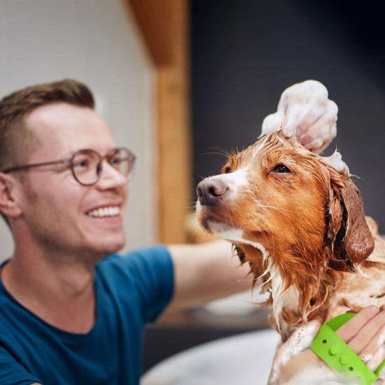 Relaxdays Massage Brush for Dogs and Cats, Set of 3, Dog Brush with Nubs, Adjustable Loop, Dog Washing Brush, Colourful Relaxdays Massage Brush for Dogs and Cats, Set of 3, Dog Brush with Nubs, Adjustable Loop, Dog Washing Brush, Colourful