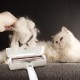 Retoo Effective Pet Hair Remover, Lint Roller for Cat Hair and Dog Hair, Reusable, Lint Brush for Clothes, Sofa, Car, Bed, Carpet, Dog Hair Remover, Cat Hair Remover Retoo Effective Pet Hair Remover, Lint Roller for Cat Hair and Dog Hair, Reusable, Lint Brush for Clothes, Sofa, Car, Bed, Carpet, Dog Hair Remover, Cat Hair Remover