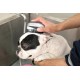 Rosewood 2-in-1 Bath and Groom Brush for Cats and Dogs Rosewood 2-in-1 Bath and Groom Brush for Cats and Dogs