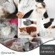 SSRIVER Pet Grooming Glove - Gentle Hair Removal and Efficient Massage for Dogs, Cats and Horses - Pet Mitt with Brushes for Short and Long Fur (1 Right Hand) SSRIVER Pet Grooming Glove - Gentle Hair Removal and Efficient Massage for Dogs, Cats and Horses - Pet Mitt with Brushes for Short and Long Fur (1 Right Hand)