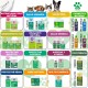 Short Hair Dog Shampoo 250 ml Short Hair Dog Shampoo 250 ml