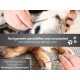 Solingen Pet Scissors Paw Scissors Small Dog Scissors with One-Sided Micro Teeth Dog Hair Scissors Made of Stainless Steel with Sharp Rounded Cutting Surface for Perfect Grooming Solingen Pet Scissors Paw Scissors Small Dog Scissors with One-Sided Micro Teeth Dog Hair Scissors Made of Stainless Steel with Sharp Rounded Cutting Surface for Perfect Grooming