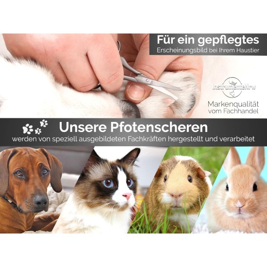 Solingen Pet Scissors Paw Scissors Small Dog Scissors with One-Sided Micro Teeth Dog Hair Scissors Made of Stainless Steel with Sharp Rounded Cutting Surface for Perfect Grooming Solingen Pet Scissors Paw Scissors Small Dog Scissors with One-Sided Micro Teeth Dog Hair Scissors Made of Stainless Steel with Sharp Rounded Cutting Surface for Perfect Grooming