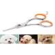 Stainless Steel Sharp Dog Scissors 13 × 5.5 × 0.5 cm Stainless Steel Sharp Dog Scissors 13 × 5.5 × 0.5 cm