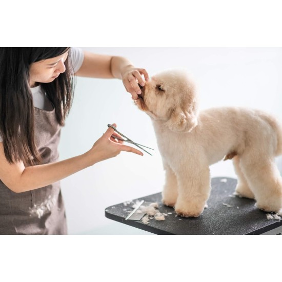 Stainless Steel Straight Dog Hair Scissors with Round Tip Stainless Steel Straight Dog Hair Scissors with Round Tip