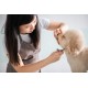 Stainless Steel Straight Dog Hair Scissors with Round Tip