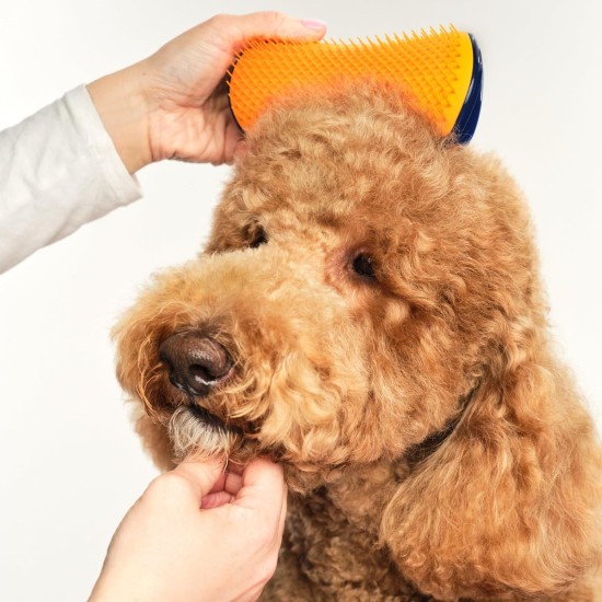 TANGLE TEEZER Pet Teezer Detangling and Dog Grooming Brush Navy/Orange 1 Piece TANGLE TEEZER Pet Teezer Detangling and Dog Grooming Brush Navy/Orange 1 Piece