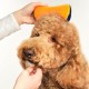 TANGLE TEEZER Pet Teezer Detangling and Dog Grooming Brush Navy/Orange 1 Piece