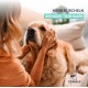 TIERHELD Pet Hair Remover Brush - Extra Strong Lint Roller Pet Hair - 100% Efficient Cat Hair & Dog Hair Removal for Couch Bed Carpet Much More - Reusable Lint Roller for Pet Hair TIERHELD Pet Hair Remover Brush - Extra Strong Lint Roller Pet Hair - 100% Efficient Cat Hair & Dog Hair Removal for Couch Bed Carpet Much More - Reusable Lint Roller for Pet Hair