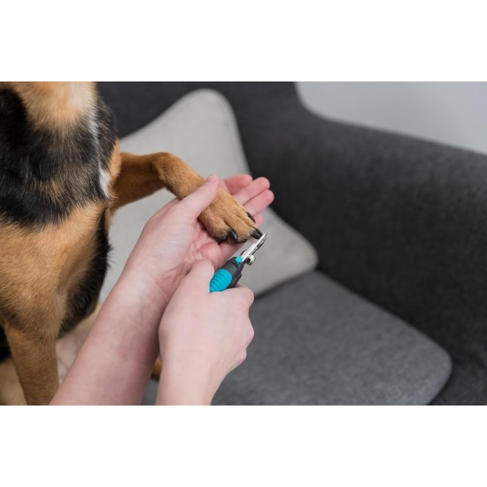 TRIXIE Claw Clippers for Dogs and Cats, 12 cm and 16 cm, for Dogs, Small Animals, Birds, Nail Trimmers for Dogs TRIXIE Claw Clippers for Dogs and Cats, 12 cm and 16 cm, for Dogs, Small Animals, Birds, Nail Trimmers for Dogs
