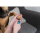 TRIXIE Claw Clippers for Dogs and Cats, 12 cm and 16 cm, for Dogs, Small Animals, Birds, Nail Trimmers for Dogs TRIXIE Claw Clippers for Dogs and Cats, 12 cm and 16 cm, for Dogs, Small Animals, Birds, Nail Trimmers for Dogs