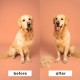 Tangle Teezer | Pet Teezer | Deshedding and Dog Grooming Brush | Dry Brush or Dog Bath Brush | Mint & Pink Tangle Teezer | Pet Teezer | Deshedding and Dog Grooming Brush | Dry Brush or Dog Bath Brush | Mint & Pink