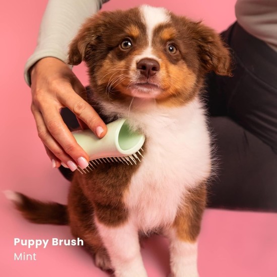 Tangle Teezer | Pet Teezer | Puppy Grooming Brush | Dry Brush or Dog Bath Brush | Mint Tangle Teezer | Pet Teezer | Puppy Grooming Brush | Dry Brush or Dog Bath Brush | Mint