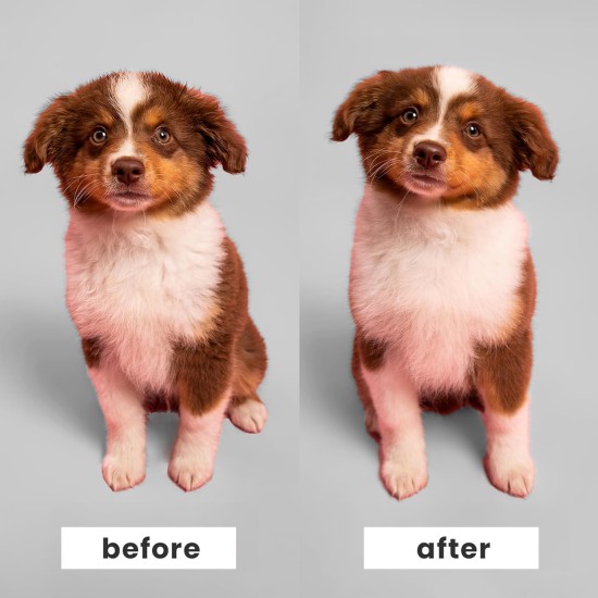 Tangle Teezer | Pet Teezer | Puppy Grooming Brush | Dry Brush or Dog Bath Brush | Mint Tangle Teezer | Pet Teezer | Puppy Grooming Brush | Dry Brush or Dog Bath Brush | Mint