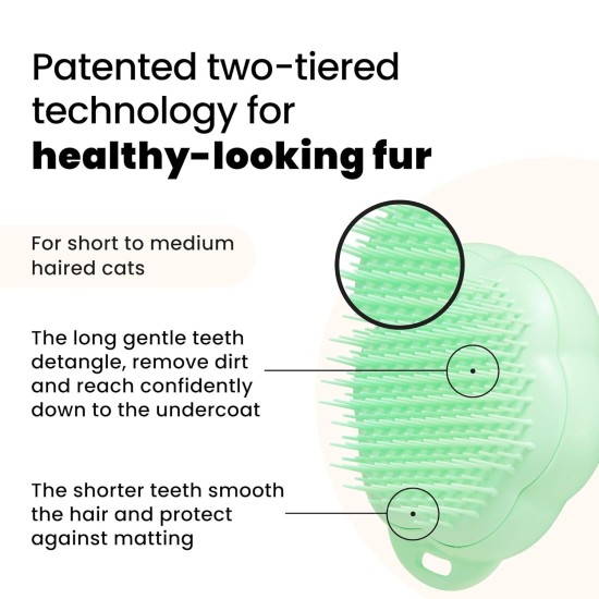 Tangle Teezer Pet Teezer Cat Brush - For Cats with Short to Medium Fur - Grooming Brush for Cats with Two Stage Bristles that Gives Shine and Smoothness - Green Tangle Teezer Pet Teezer Cat Brush - For Cats with Short to Medium Fur - Grooming Brush for Cats with Two Stage Bristles that Gives Shine and Smoothness - Green