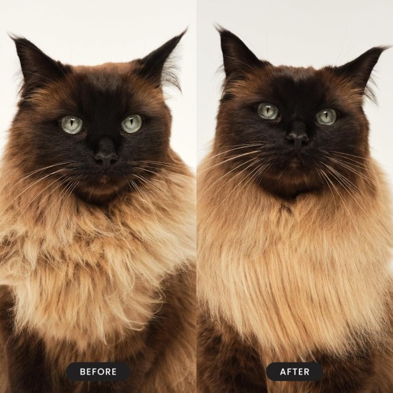Tangle Teezer Pet Teezer Cat Brush - For Cats with Short to Medium Fur - Grooming Brush for Cats with Two Stage Bristles that Gives Shine and Smoothness - Green Tangle Teezer Pet Teezer Cat Brush - For Cats with Short to Medium Fur - Grooming Brush for Cats with Two Stage Bristles that Gives Shine and Smoothness - Green