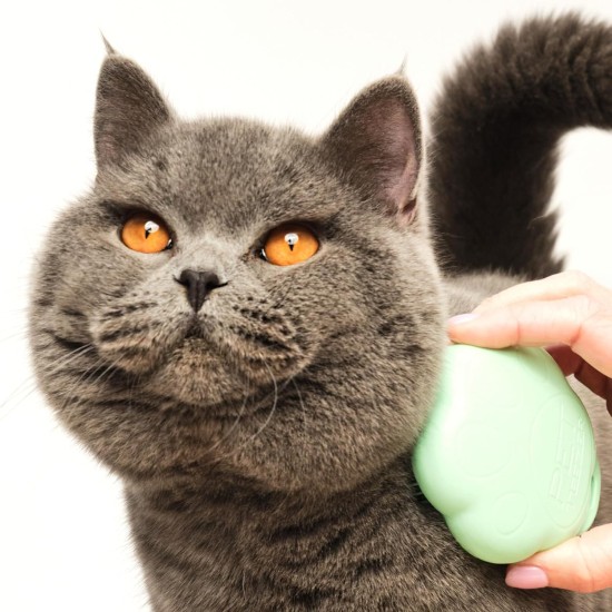 Tangle Teezer Pet Teezer Cat Brush - For Cats with Short to Medium Fur - Grooming Brush for Cats with Two Stage Bristles that Gives Shine and Smoothness - Green Tangle Teezer Pet Teezer Cat Brush - For Cats with Short to Medium Fur - Grooming Brush for Cats with Two Stage Bristles that Gives Shine and Smoothness - Green