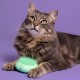 Tangle Teezer Pet Teezer Cat Brush - For Cats with Short to Medium Fur - Grooming Brush for Cats with Two Stage Bristles that Gives Shine and Smoothness - Green Tangle Teezer Pet Teezer Cat Brush - For Cats with Short to Medium Fur - Grooming Brush for Cats with Two Stage Bristles that Gives Shine and Smoothness - Green
